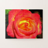 Orange und Rote Rose Nah Puzzle (Horizontal)