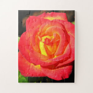 Orange und Rote Rose Nah Puzzle