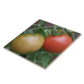 Orange und Rote Tomaten Fliese (Seite)
