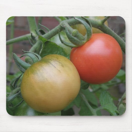 Orange und Rote Tomaten Mousepad (Vorne)