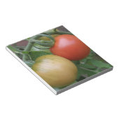 Orange und Rote Tomaten Notizblock (angewinkelt)