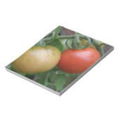 Orange und Rote Tomaten Notizblock (Rotiert)