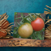 Orange und Rote Tomaten Plaque Fotoplatte (Seite)