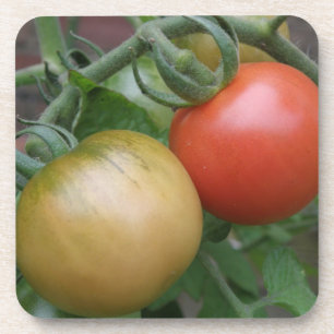 Orange und Rote Tomaten Untersetzer Cork