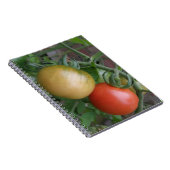 Orange- und Rotttomaten-Notebook Notizblock (Rechte Seite)