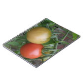 Orange- und Rotttomaten-Notebook Notizblock (Linke Seite)
