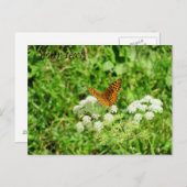 Orange und Schwarze Butterfly mit Ihrem Text Postkarte (Vorne/Hinten)