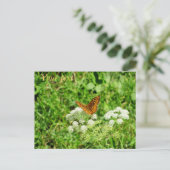 Orange und Schwarze Schmetterlinge Postkarte (Stehend Vorderseite)