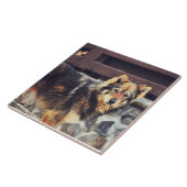 Orange und schwarzer Hund Fliese (Seite)