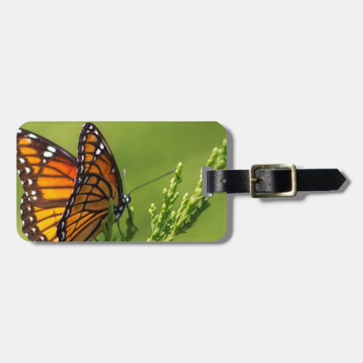 Orange und schwarzer Monarchfalter Gepäckanhänger (Vorderseite horizontal)