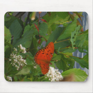 Orange und schwarzer Schmetterling in dem See Mousepad