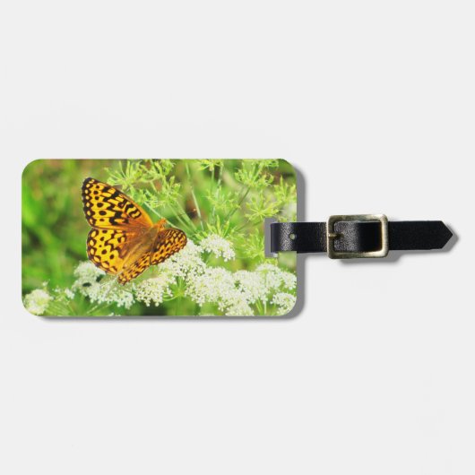 Orange und schwarzer Schmetterling mit weißen Gepäckanhänger (Vorderseite horizontal)
