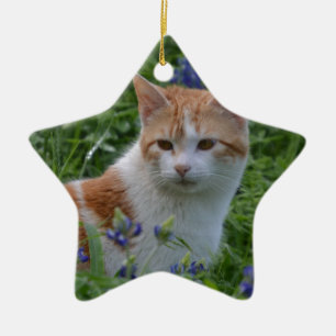 Orange und weißer Tabby Keramikornament