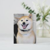 Orange und White Shiba Inu Hunde Zucht Postkarten (Stehend Vorderseite)