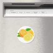 Orange und Zitrone Magnet (In Situ (Geschirrspüler))