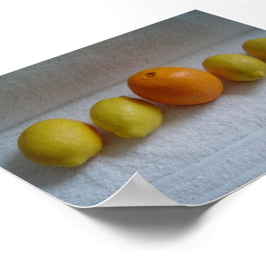 Orange und Zitronen Poster (Ecke)