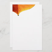 Orange Verlass Stationery Briefpapier (Vorne/Hinten)