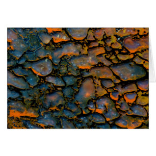 Orange-versteinerte Dinosaurier