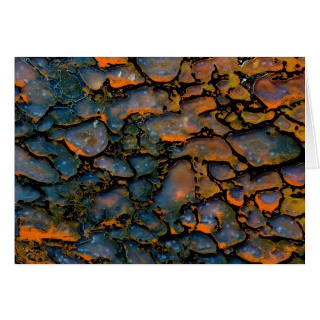 Orange-versteinerte Dinosaurier (Vorderseite (Horizontal))