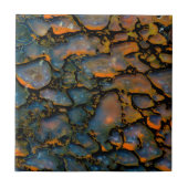 Orange-versteinerte Dinosaurier Fliese (Vorderseite)