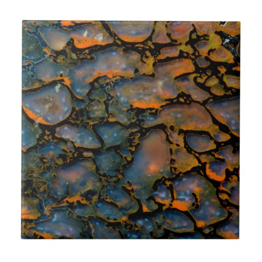 Orange-versteinerte Dinosaurier Fliese (Vorderseite)