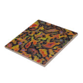 Orange-versteinerte Dinosaurier-Knochen Fliese (Seite)