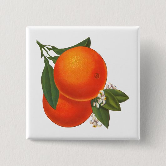 Orange Vintag Crate Art Button (Vorderseite)