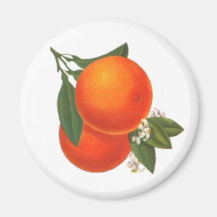 Orange Vintag Crate Art Magnet