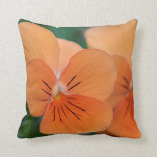 Orange Viola Kissen