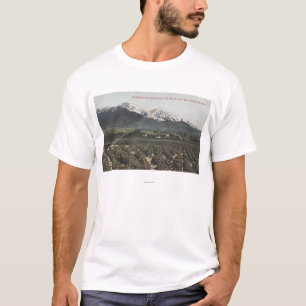 Orange Waldungen mit altem Baldy Mt im Abstand T-Shirt