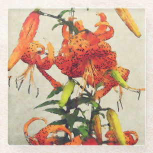 Orange Wasserfarbe Tigerlilie 1 Glasuntersetzer