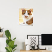 Orange-Weiß-Katze mit Kamera Poster (Heimbüro)