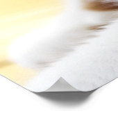 Orange-Weiß-Katze mit Kamera Poster (Ecke)