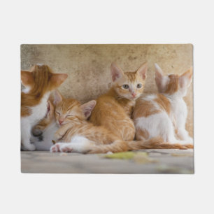 Orange-weiße Tabby-Kätzchen/Fügen Sie das Foto Ihr Fußmatte