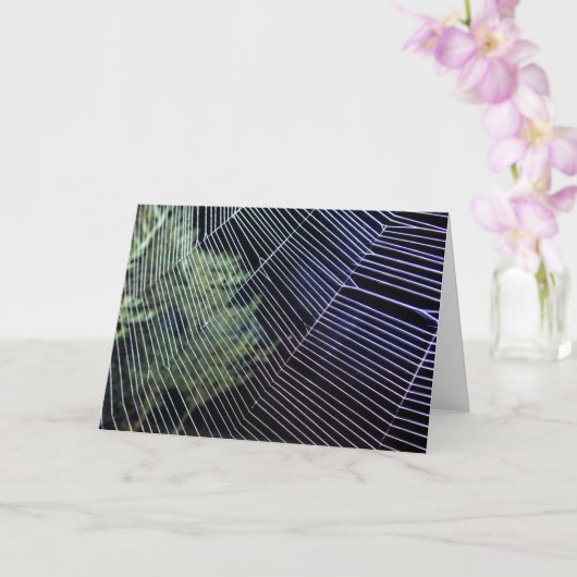 Orange Wheelweaving Spider Web Karte (Orchidee)