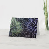 Orange Wheelweaving Spider Web Karte (Vorderseite)