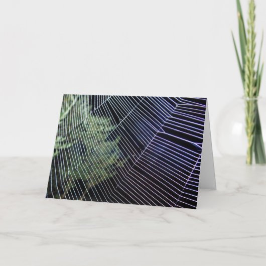 Orange Wheelweaving Spider Web Karte (Vorderseite)