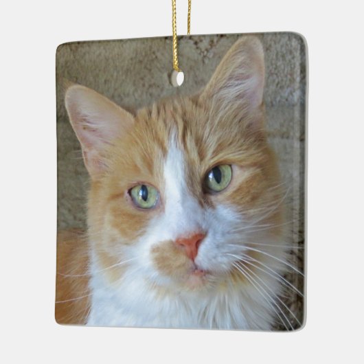 Orange & White Ginger Cat Ornament (Links)