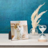 Orange & White Kitten Fotoplatte (InSitu)