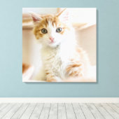 Orange & White Kitten Leinwanddruck (Insitu (Holzboden))