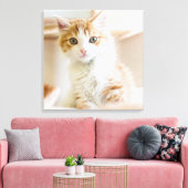 Orange & White Kitten Leinwanddruck (Insitu (Wohnzimmer))