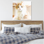Orange & White Kitten Leinwanddruck (Insitu (Schlafzimmer))
