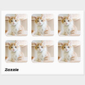 Orange & White Kitten Quadratischer Aufkleber (Blatt)