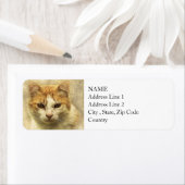 Orange & White Kitty | ABSTRAKT | Wasserfarbe (Insitu)