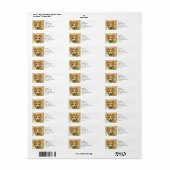 Orange & White Kitty | ABSTRAKT | Wasserfarbe (Vorne)