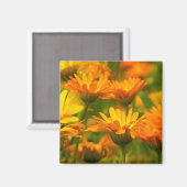 Orange Wild Blume Magnet (Vorderseite/Rückseite)