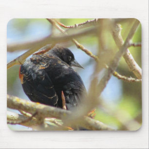 Orange Winged Black Bird Mousepad