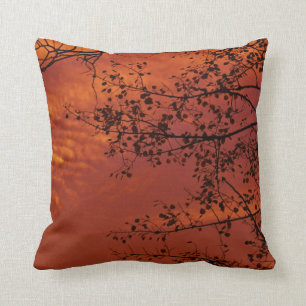 orange Wurfskissen mit asiatischem Aroma Kissen