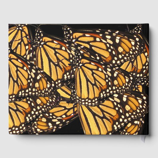 Orange Yellow Butterfly Birthday Party Gästebuch (Rückseite)