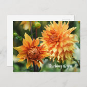 Orange & Yellow Dahlia Blume im Wisley Gardens Postkarte (Vorne/Hinten)